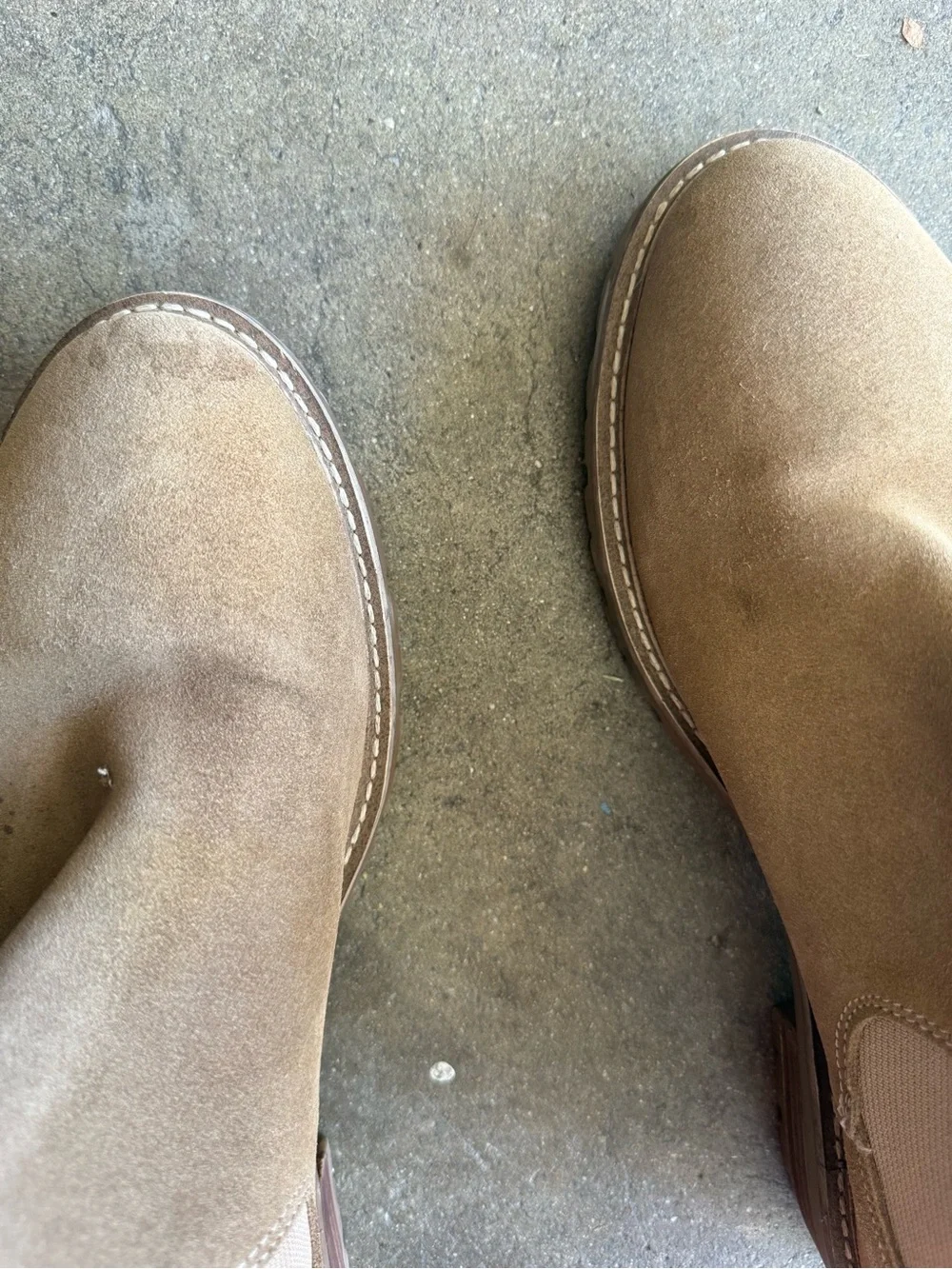 Steve Madden Suede Chelsea Boots in Tan